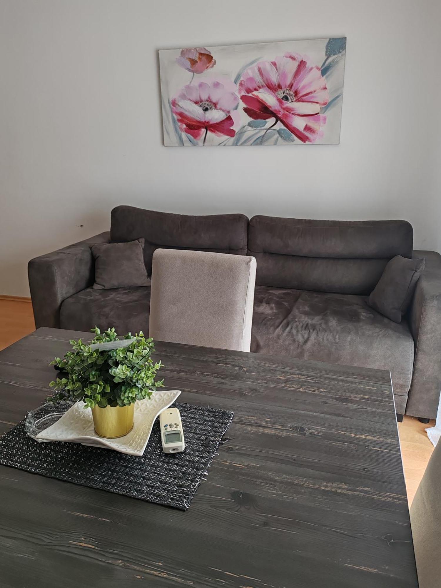 Apartmani Nana Sokobanja 객실 사진
