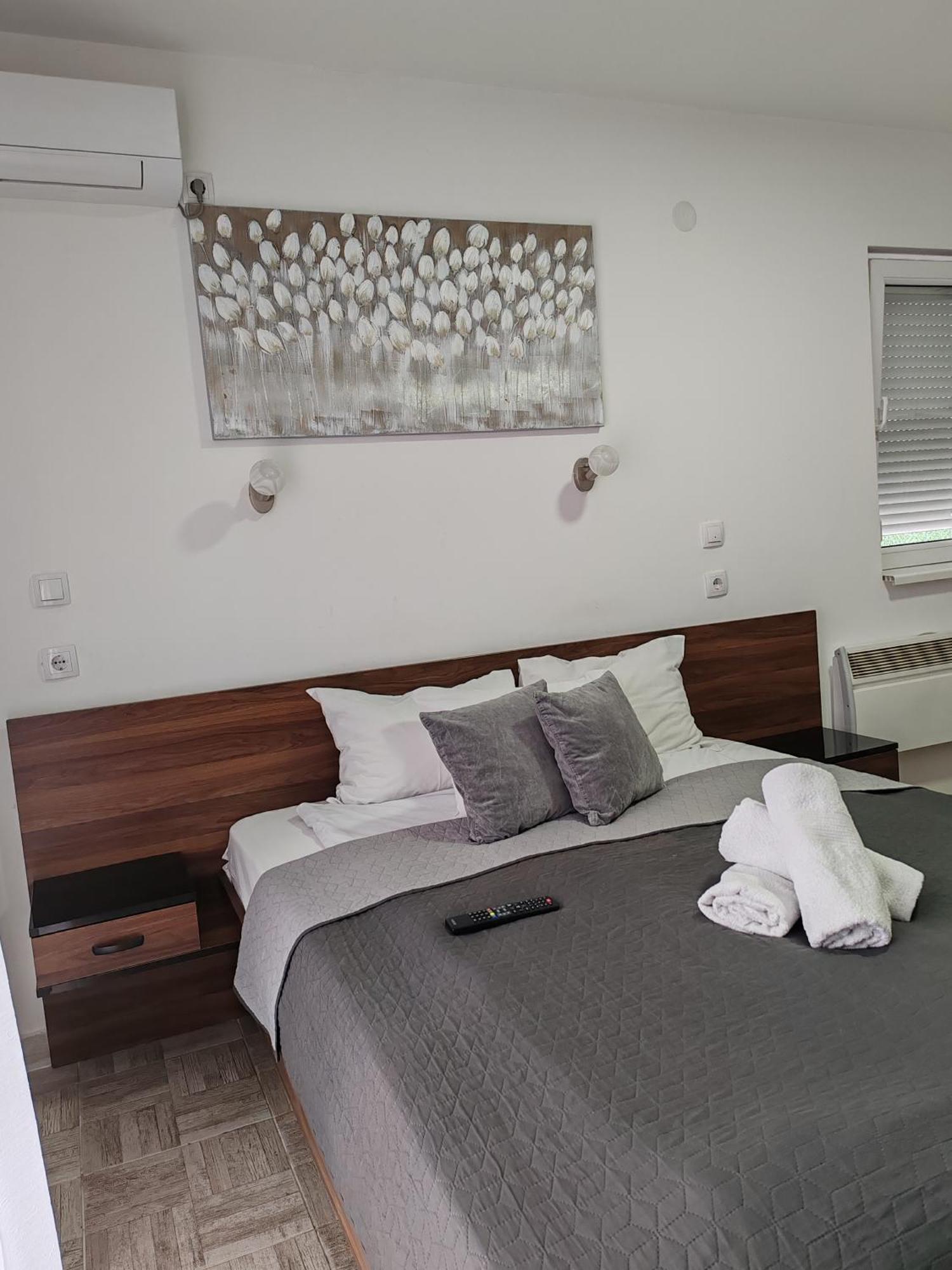 Apartmani Nana Sokobanja 객실 사진
